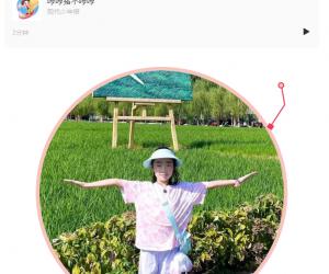 ��˵���� | �ߺ������ߺ�